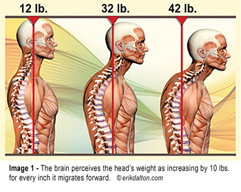 spinal flexion
