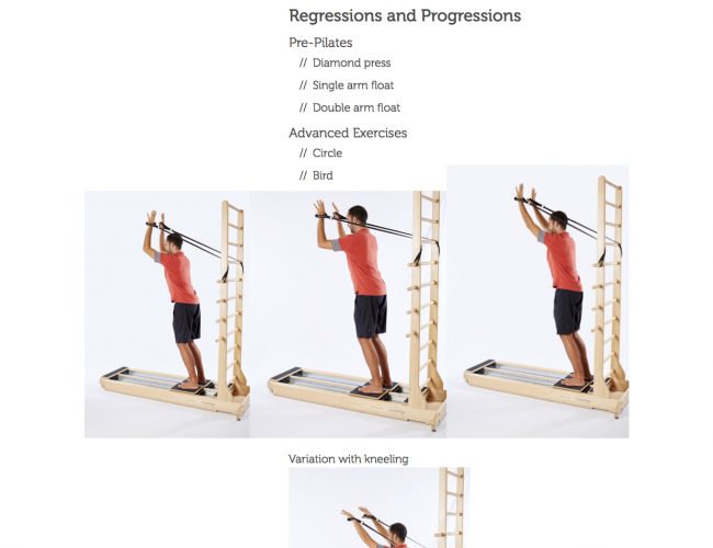 CoreAlign Bird exercise for Trendelenburg gait