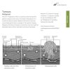 Cancer and Autoimmune Conditions<br>(eBook) - Image 4