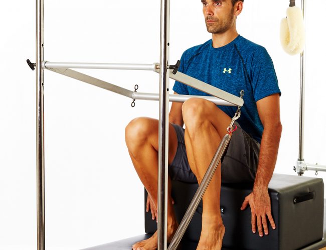 exercise for osteoporosis on pilates Trapeze Table