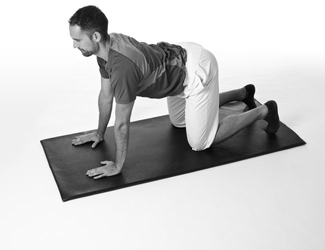 4 point kneeling with arms straight