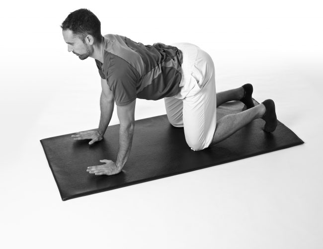 4 point kneeling with slight bend of elbows