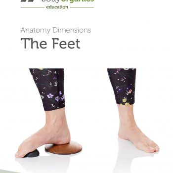 The Feet Anatomy Dimensions Course Manual