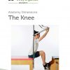 The Knee Anatomy Dimensions Course Manual - Image 2