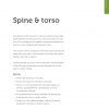 Spine, Torso and Breath<br>(eBook) - Image 4