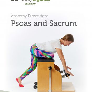 Pelvis One - Psoas and Sacrum<br>(eBook)