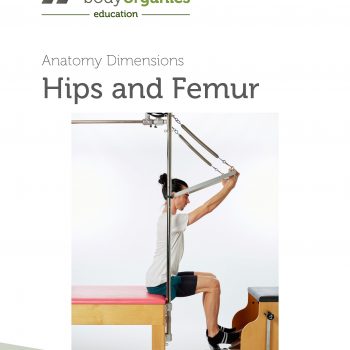 Pelvis Two - Hip and Femur<br>(eBook)