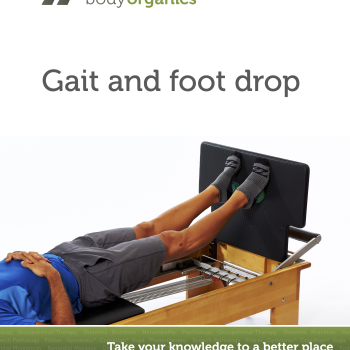 Gait and Foot Drop<br>(eBook)