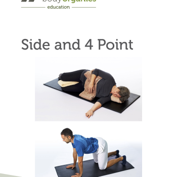 Side and 4 Point<br>(eBook)