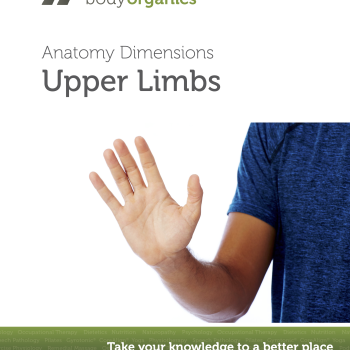 Upper Limbs<br>(eBook)