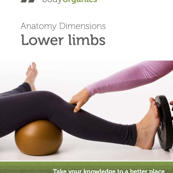 Lower Limbs<br>(eBook)